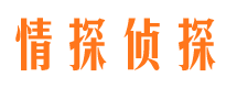 九里出轨调查